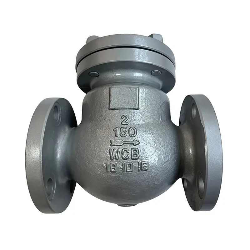 Valvola di ritegno standard americana WCB